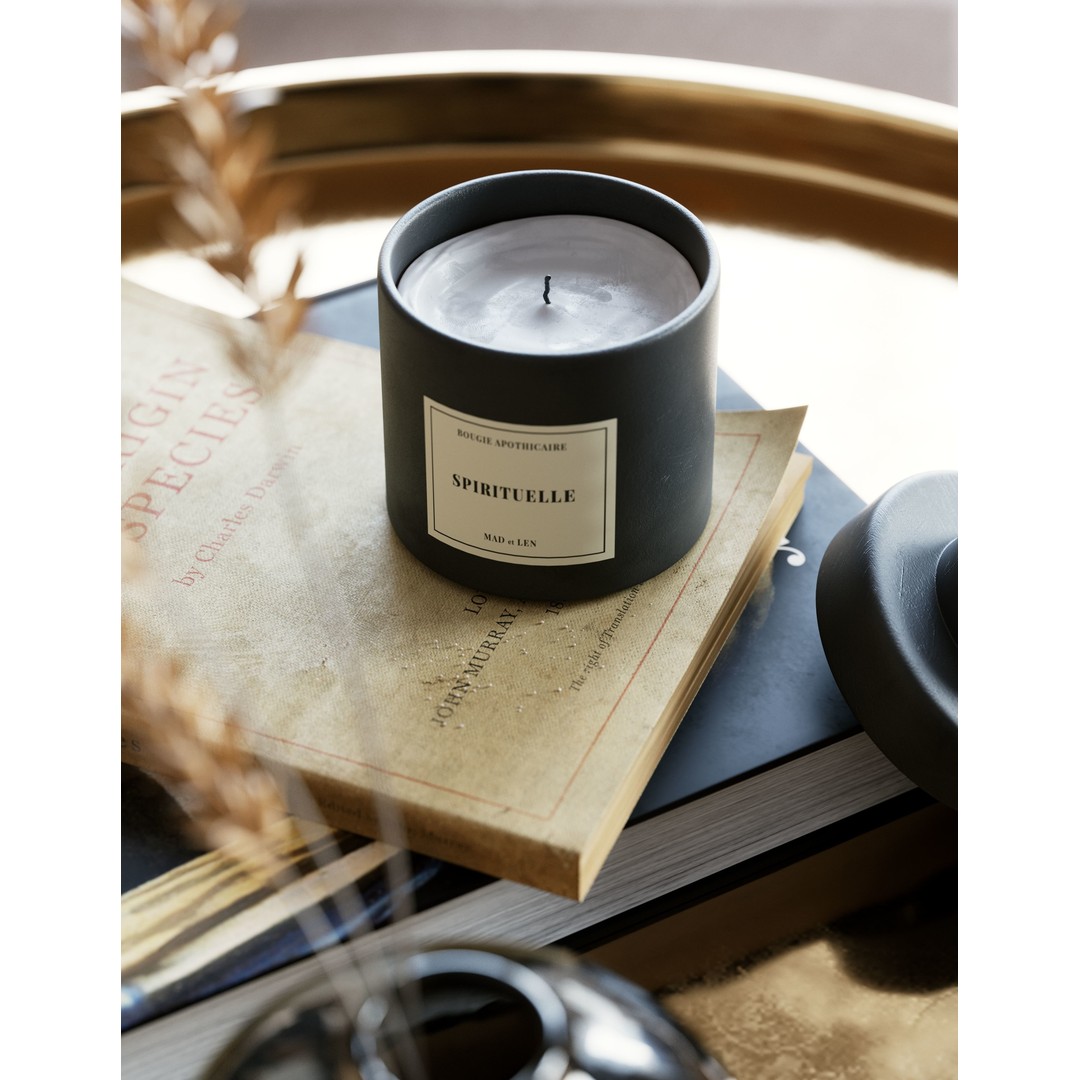 Caulfield North Interior Scene 3D Model – Modern Design, C4D, PBR - View 5