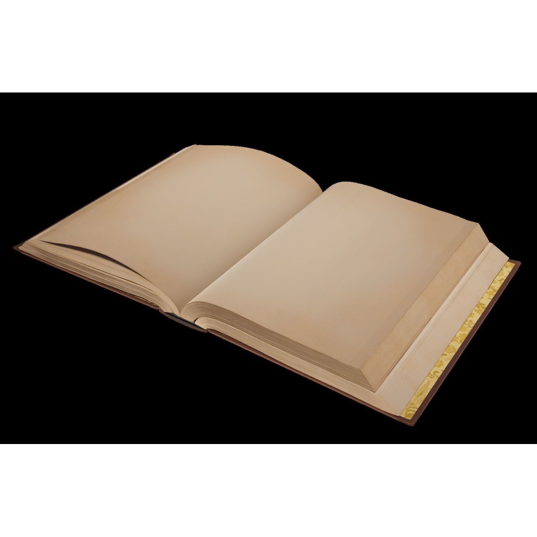 Animated Book 3D Model – Low Poly Rigged Game Asset, FBX - View 10