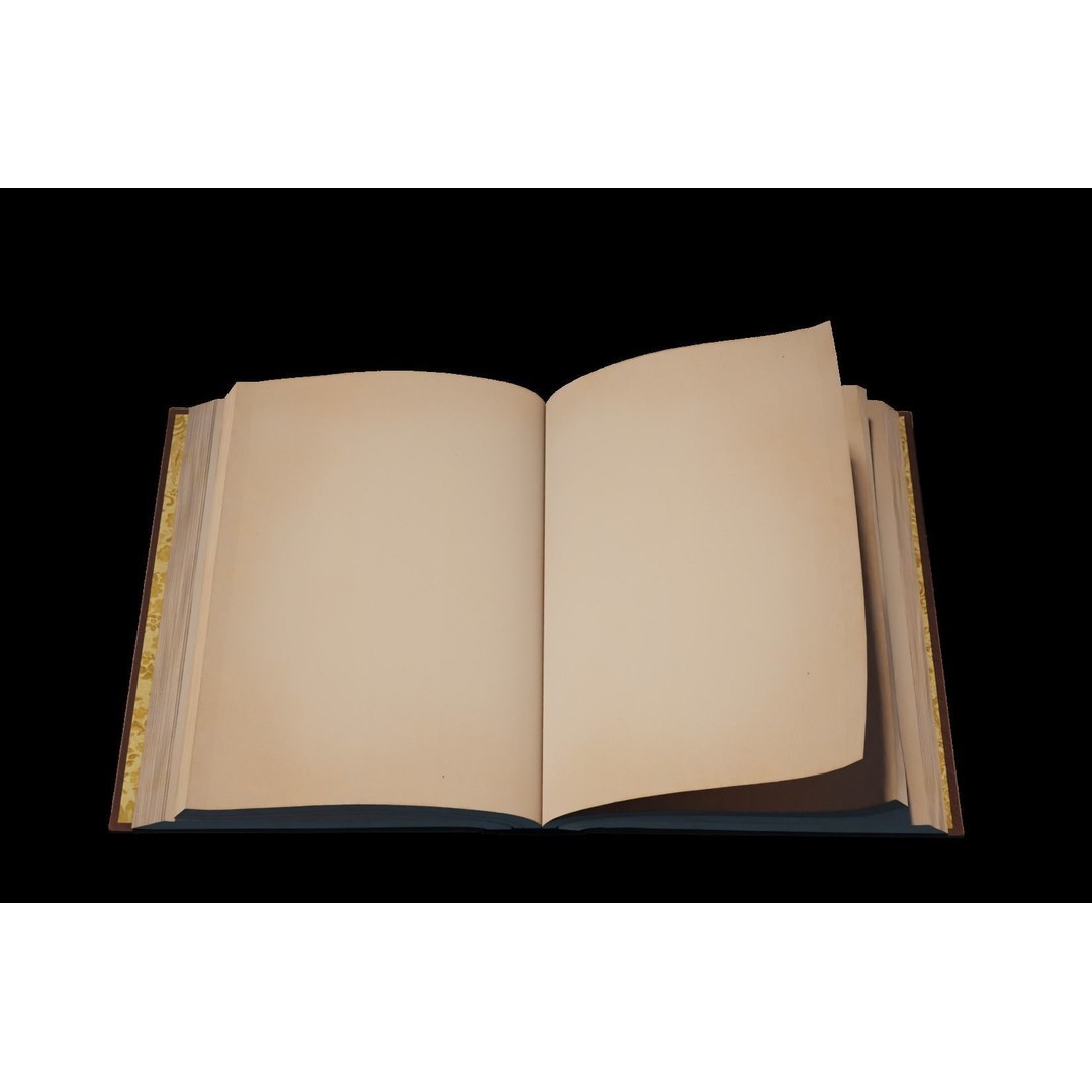 Animated Book 3D Model – Low Poly Rigged Game Asset, FBX - View 9