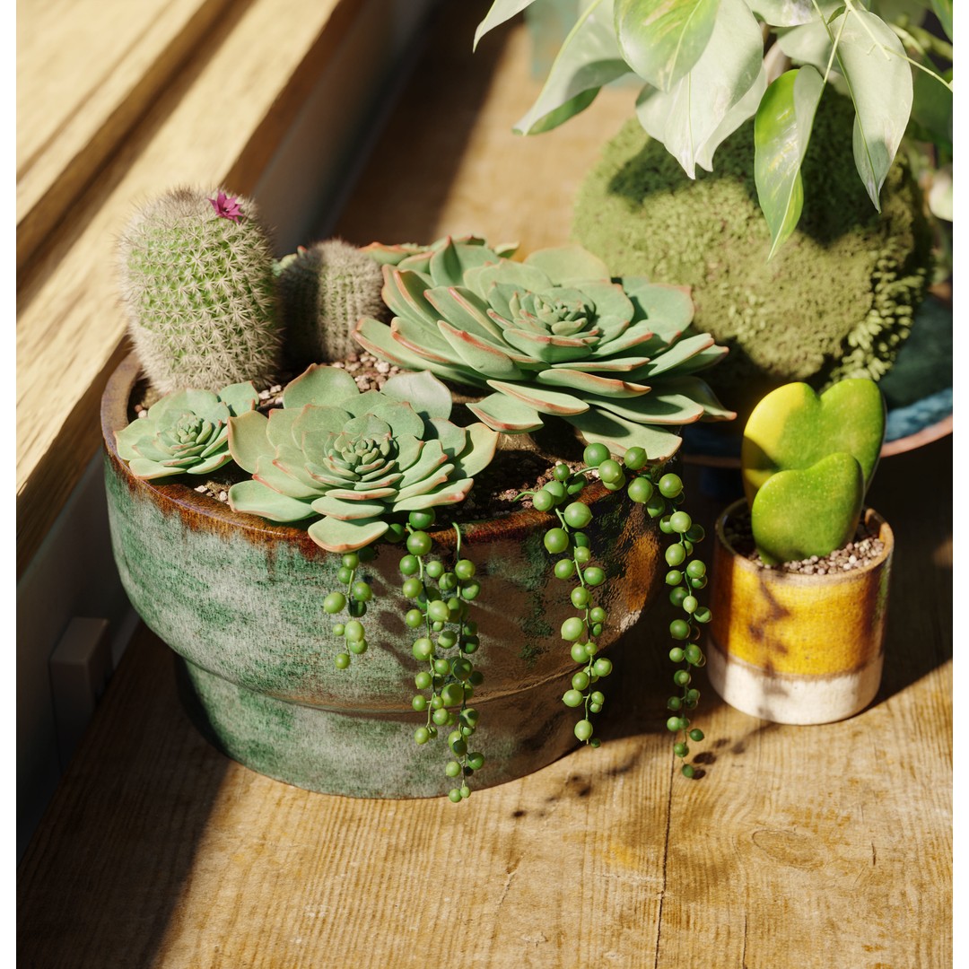 Indoor Plants 3D Model – Realistic Small Plant Scenes, C4D - View 10