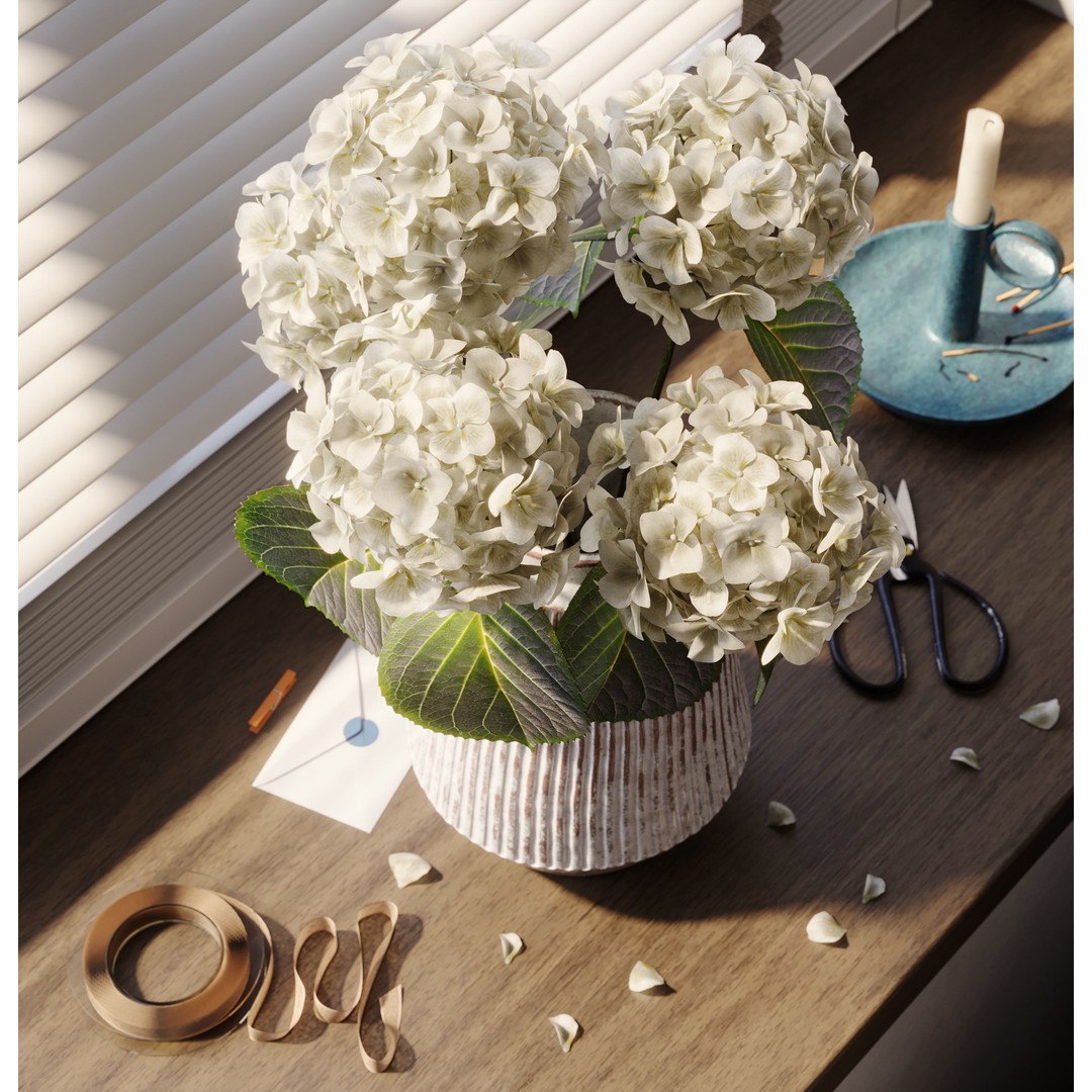 Indoor Plants 3D Model – Realistic Small Plant Scenes, C4D - View 11