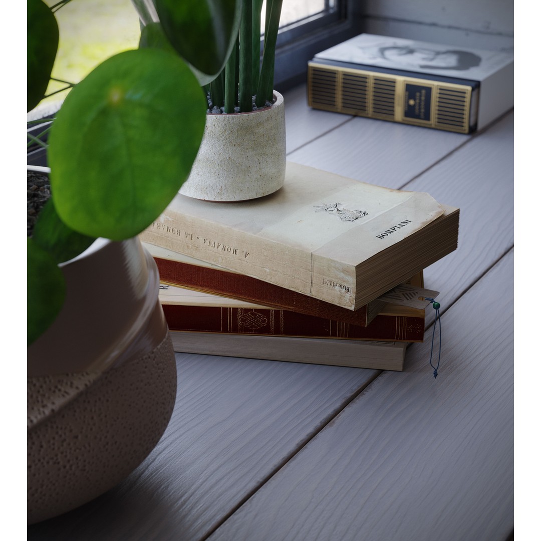 Indoor Plants 3D Model – Realistic Small Plant Scenes, C4D - View 14