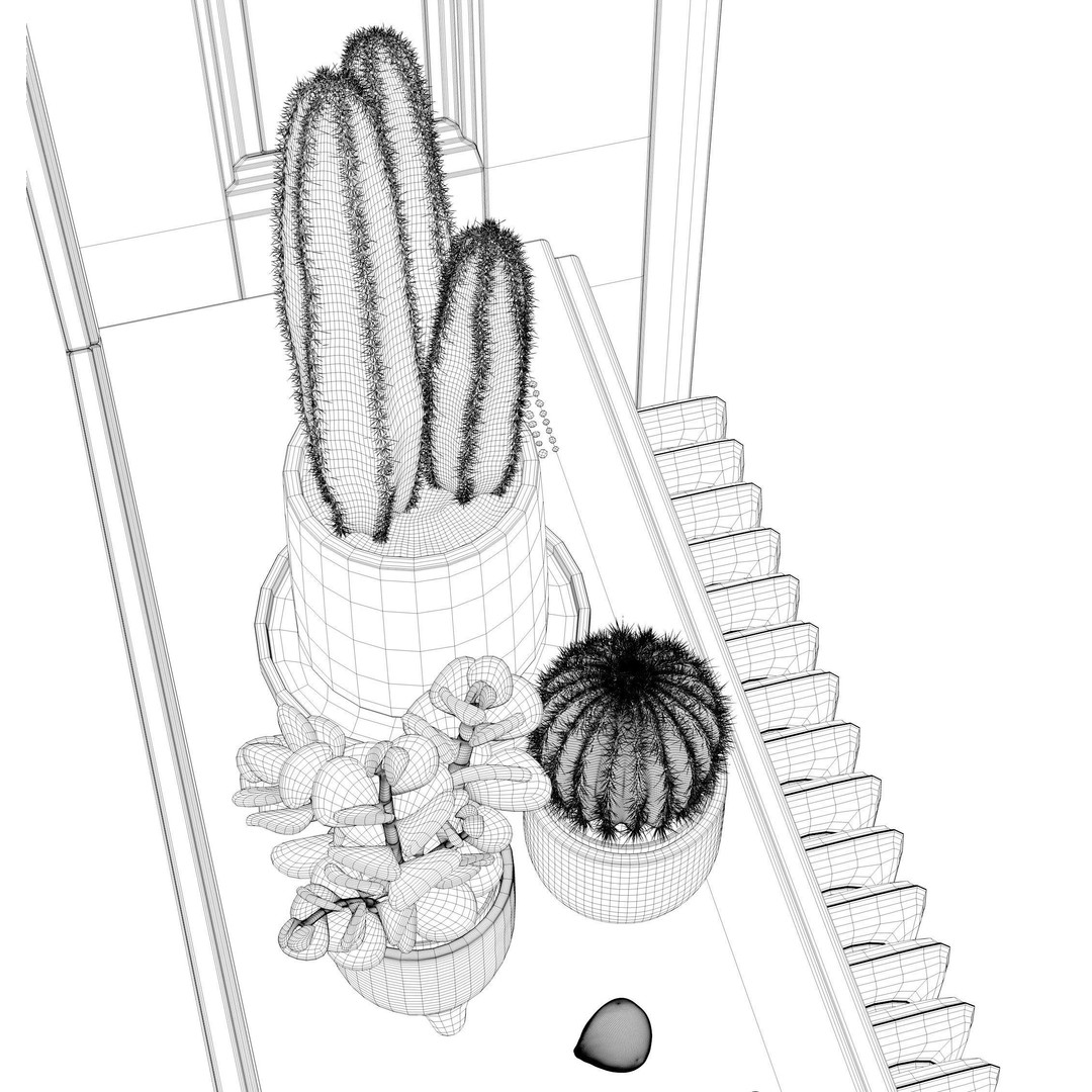 Indoor Plants 3D Model – Realistic Small Plant Scenes, C4D - View 17