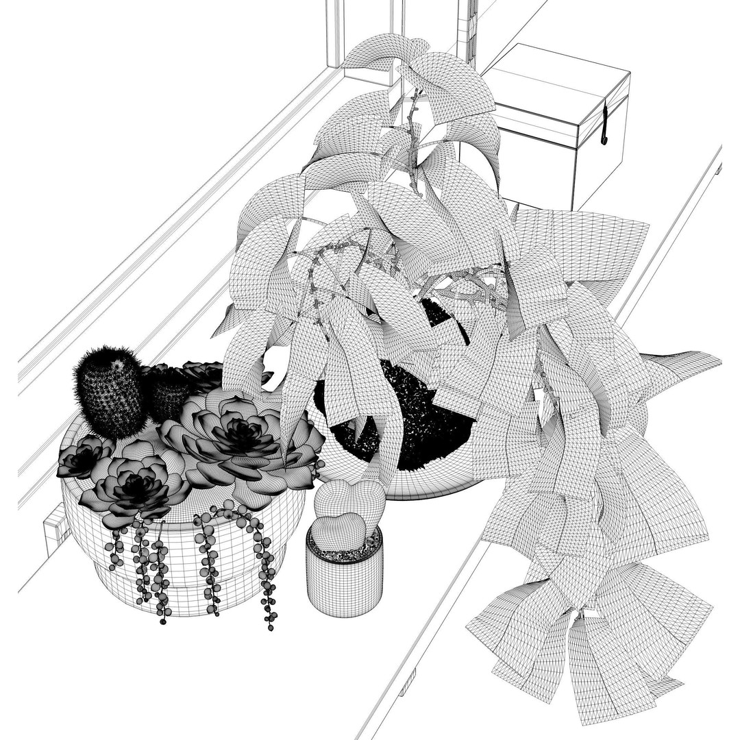 Indoor Plants 3D Model – Realistic Small Plant Scenes, C4D - View 20