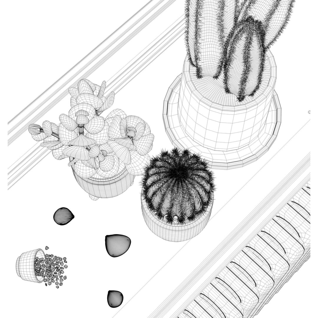 Indoor Plants 3D Model – Realistic Small Plant Scenes, C4D - View 21