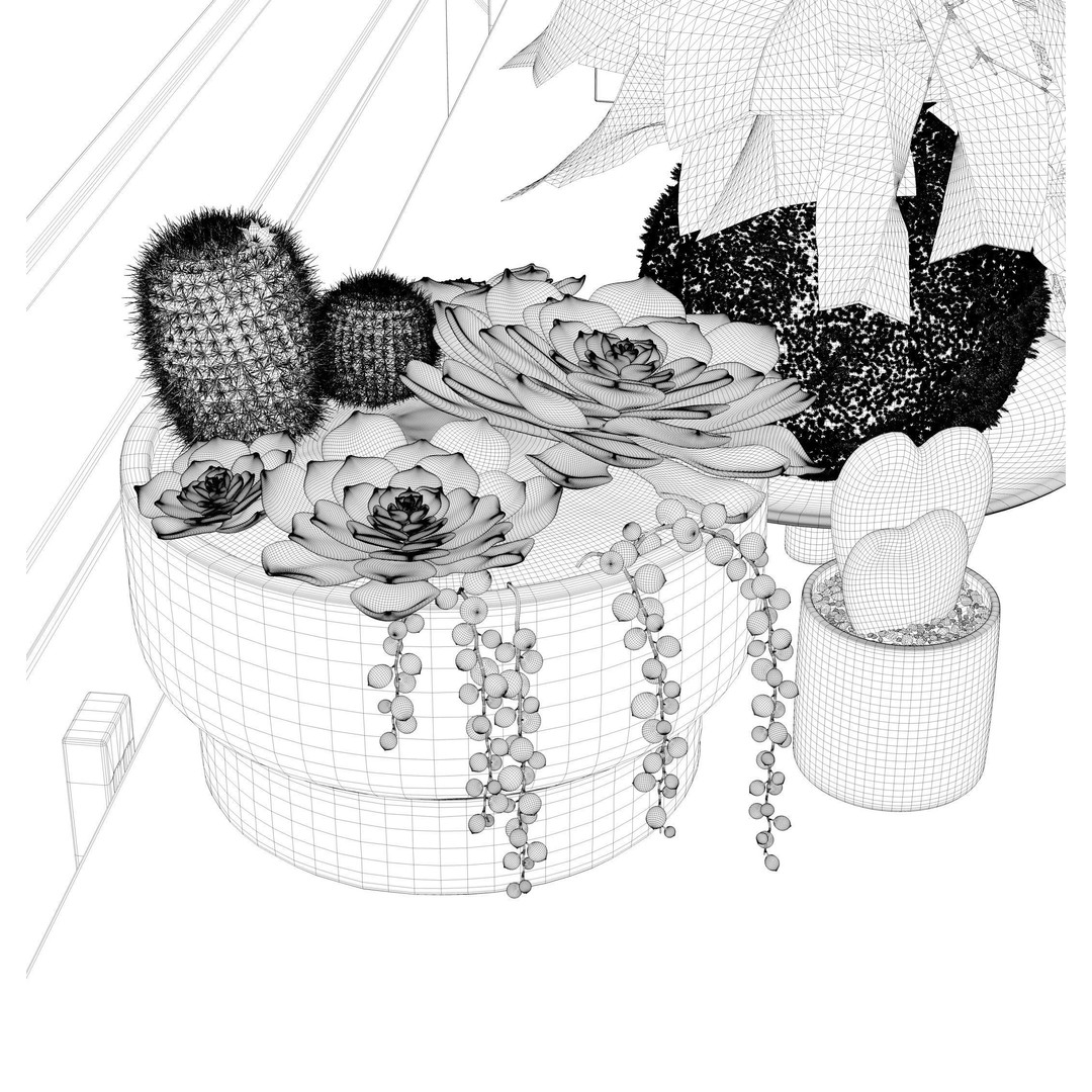 Indoor Plants 3D Model – Realistic Small Plant Scenes, C4D - View 23