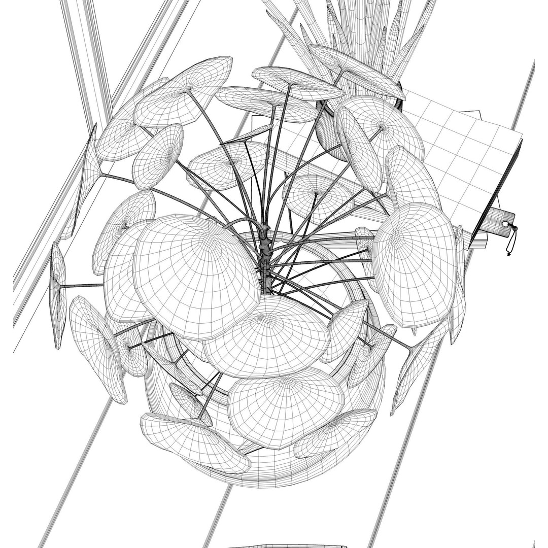 Indoor Plants 3D Model – Realistic Small Plant Scenes, C4D - View 26