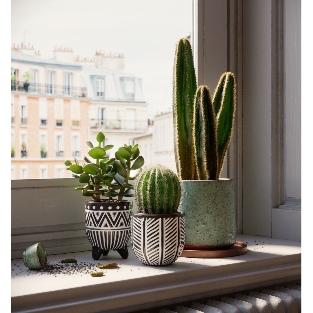 Indoor Plants 3D Model – Realistic Small Plant Scenes, C4D - View 3