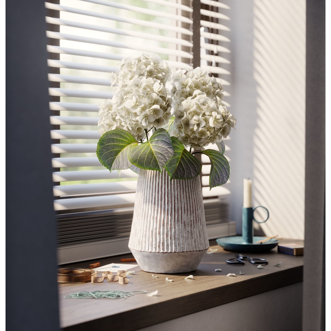 Indoor Plants 3D Model – Realistic Small Plant Scenes, C4D - View 5