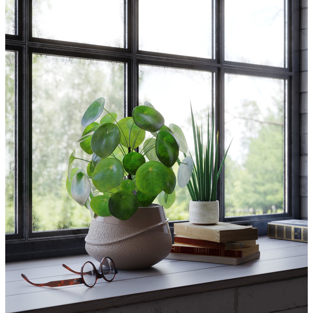 Indoor Plants 3D Model – Realistic Small Plant Scenes, C4D - View 6