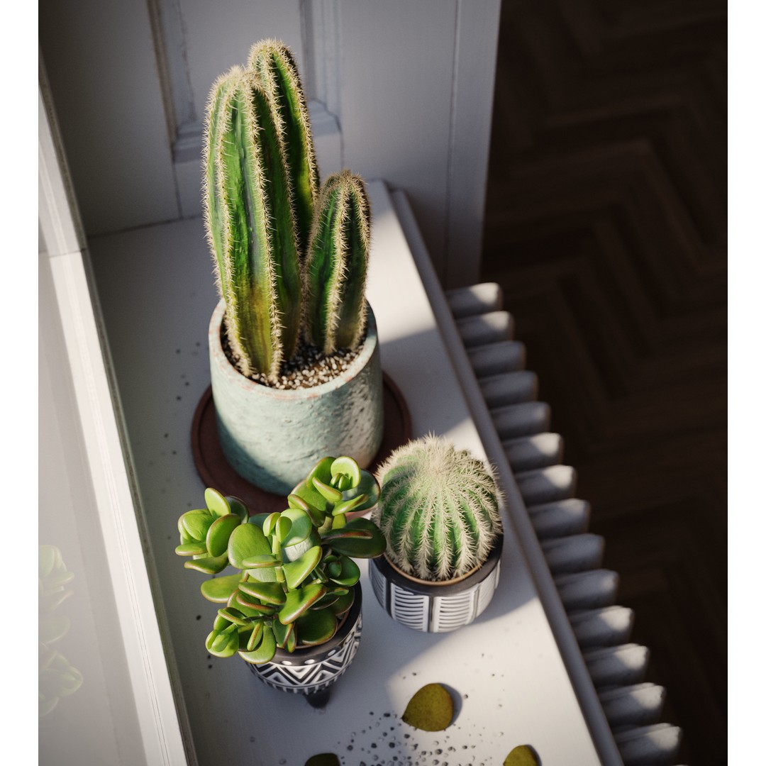 Indoor Plants 3D Model – Realistic Small Plant Scenes, C4D - View 7
