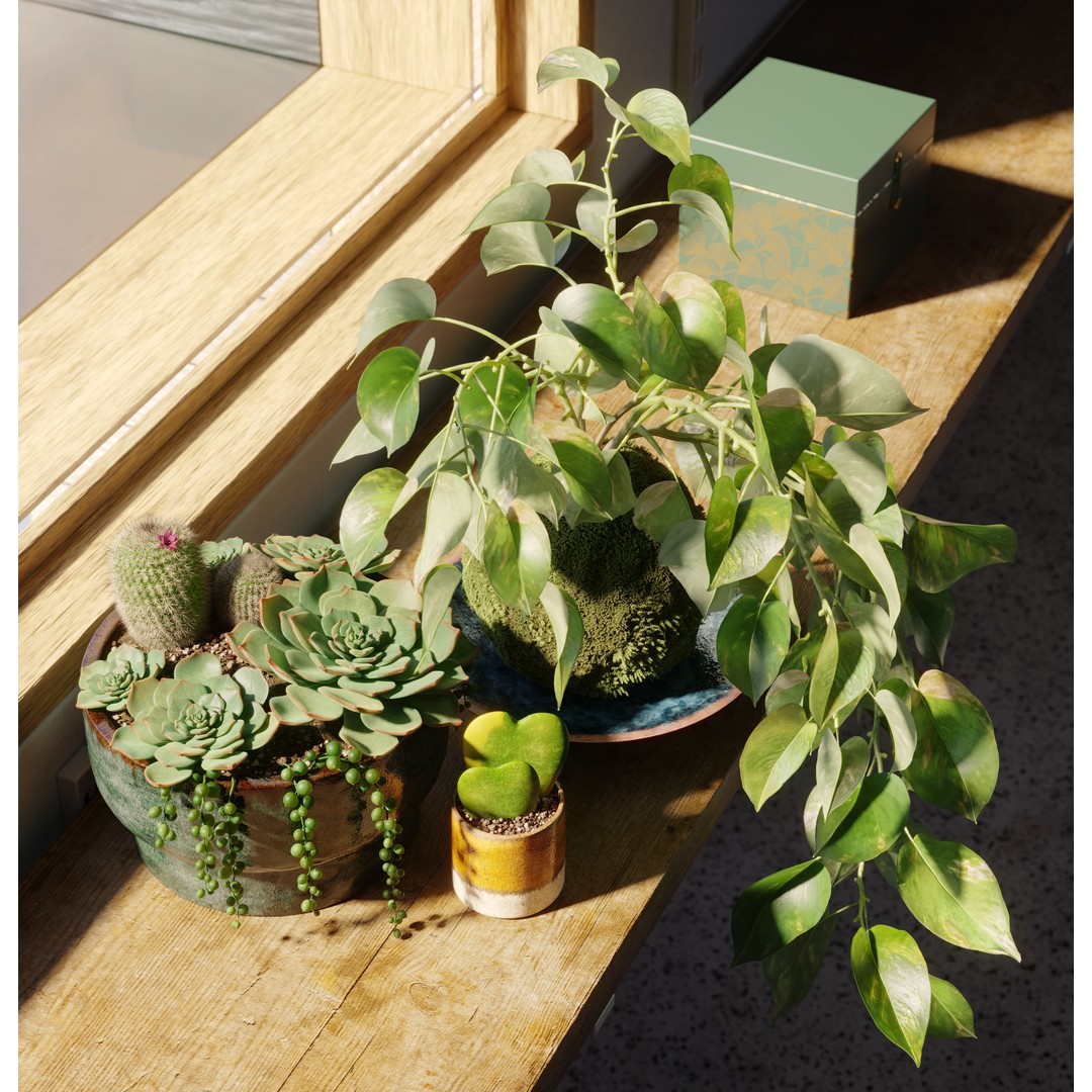 Indoor Plants 3D Model – Realistic Small Plant Scenes, C4D - View 8