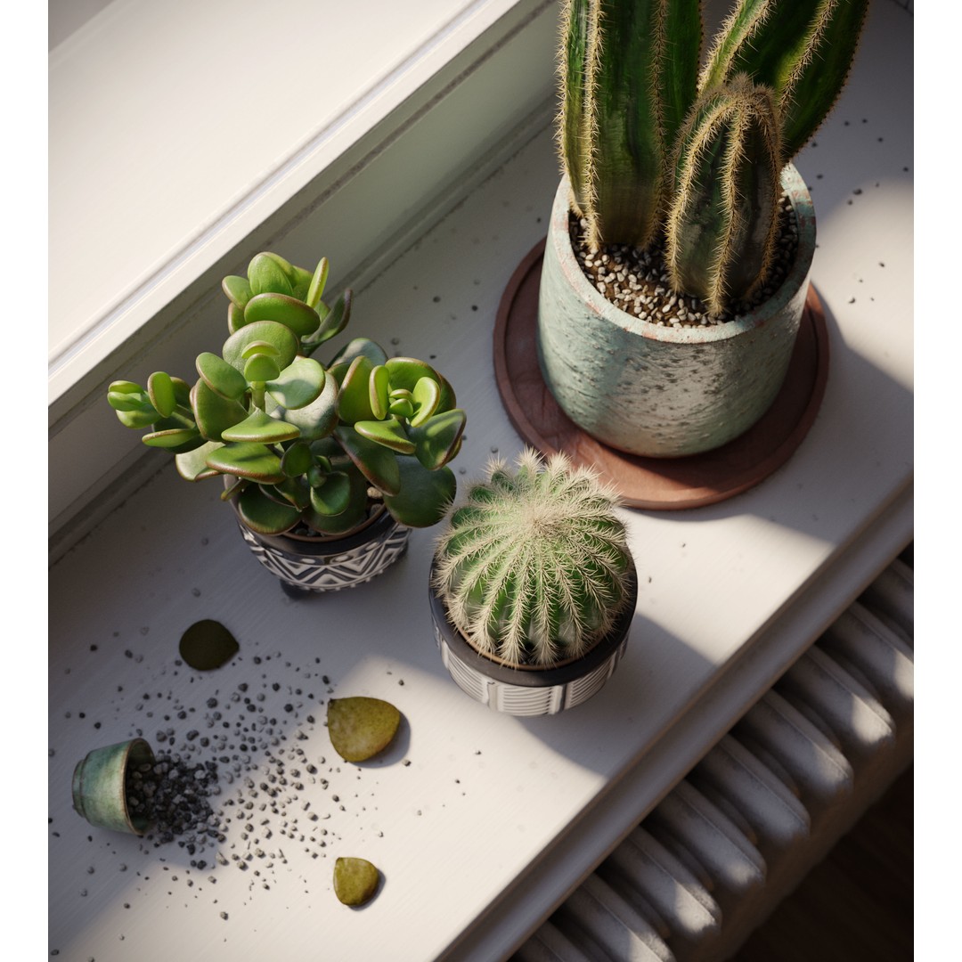 Indoor Plants 3D Model – Realistic Small Plant Scenes, C4D - View 9