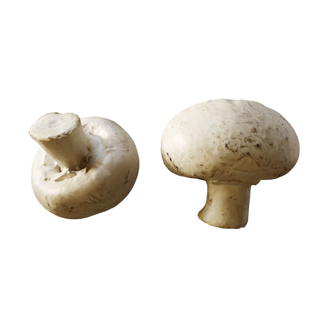 Fruit Food Collection 3D Model – High Poly Interior Assets, FBX - View 48