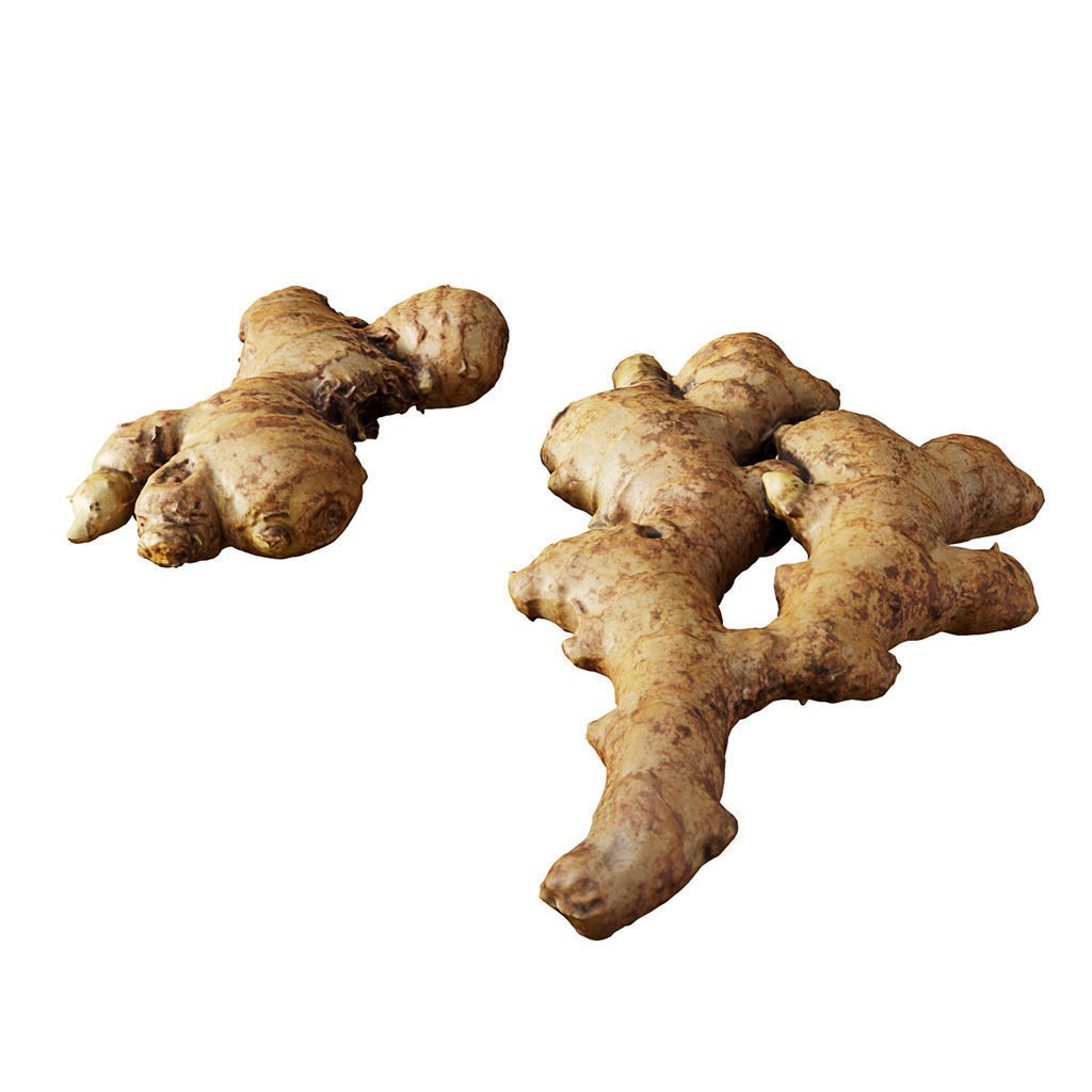 Fruit Food Collection 3D Model – High Poly Interior Assets, FBX - View 53