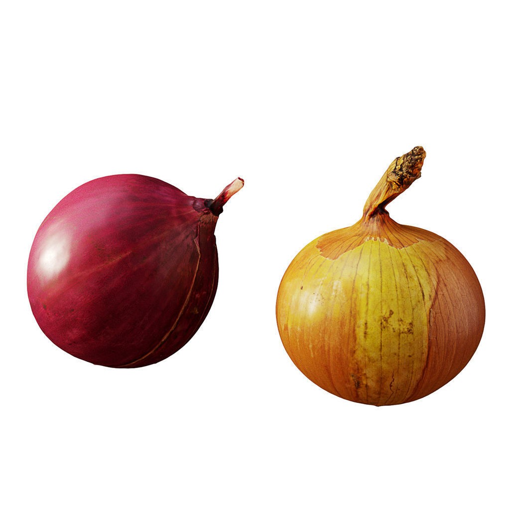 Fruit Food Collection 3D Model – High Poly Interior Assets, FBX - View 57