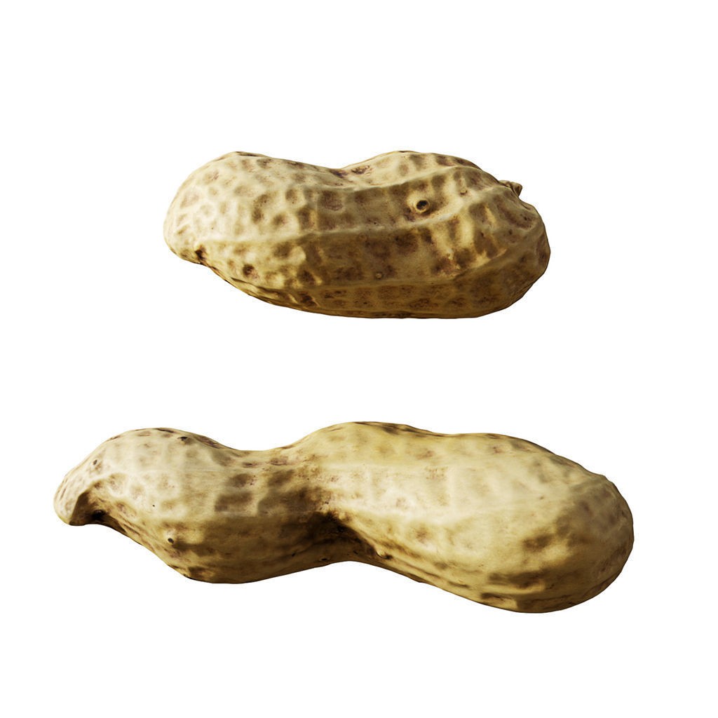 Fruit Food Collection 3D Model – High Poly Interior Assets, FBX - View 58