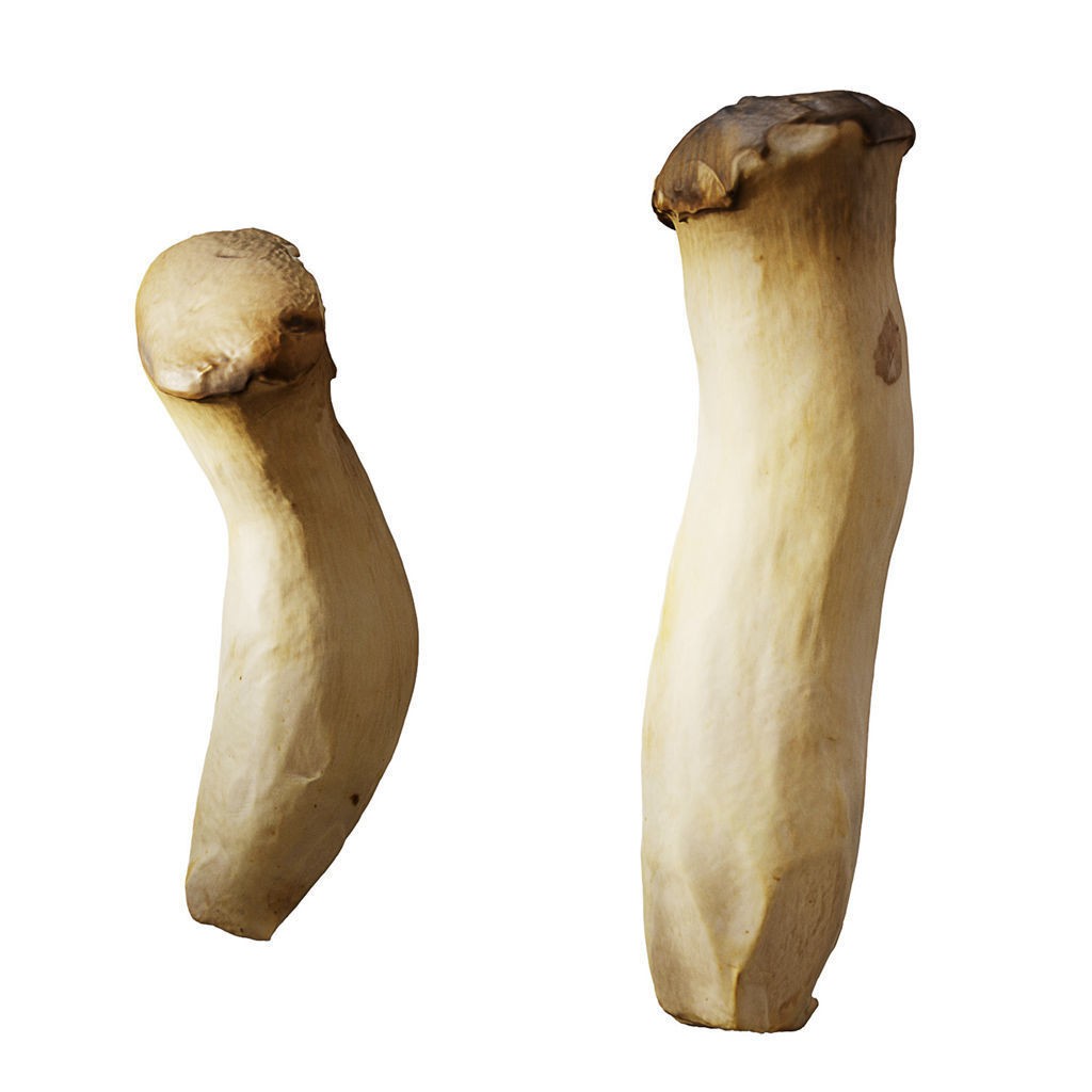 Fruit Food Collection 3D Model – High Poly Interior Assets, FBX - View 59