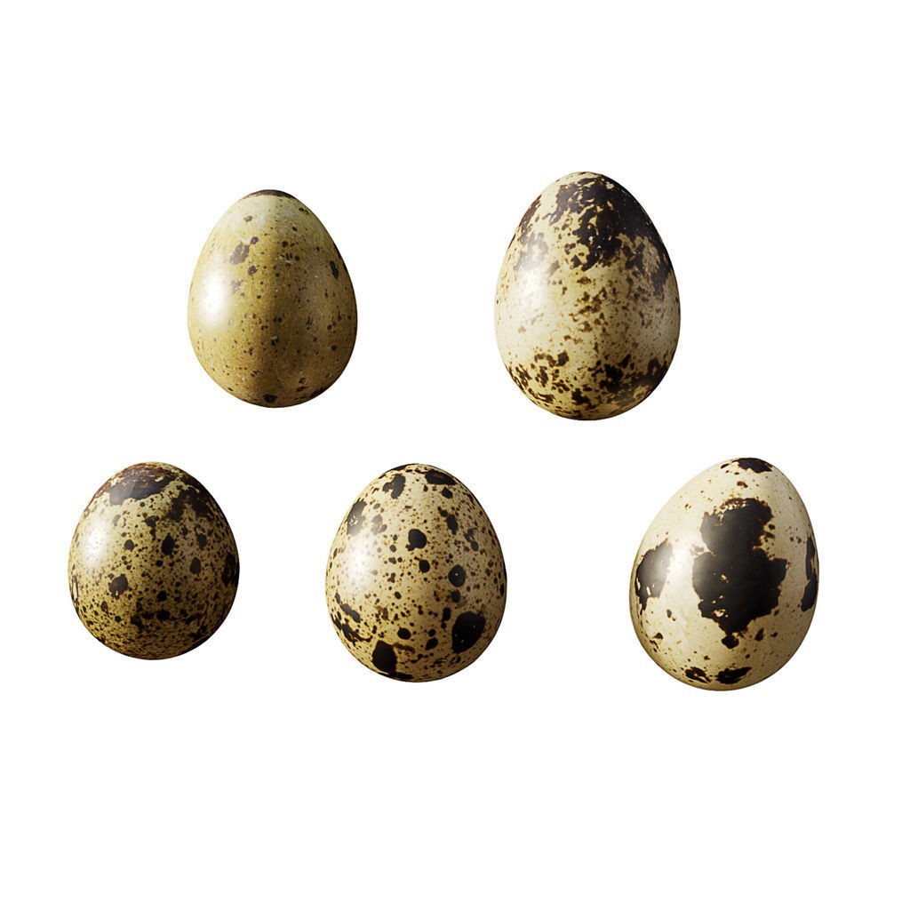 Fruit Food Collection 3D Model – High Poly Interior Assets, FBX - View 63