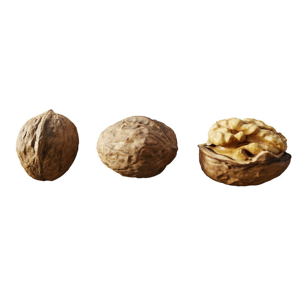 Fruit Food Collection 3D Model – High Poly Interior Assets, FBX - View 67