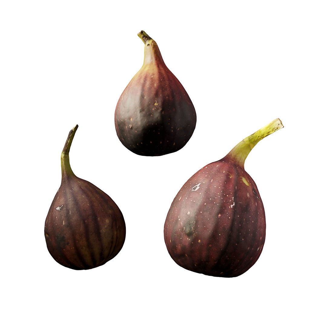 Fruit Food Collection 3D Model – High Poly Interior Assets, FBX - View 73