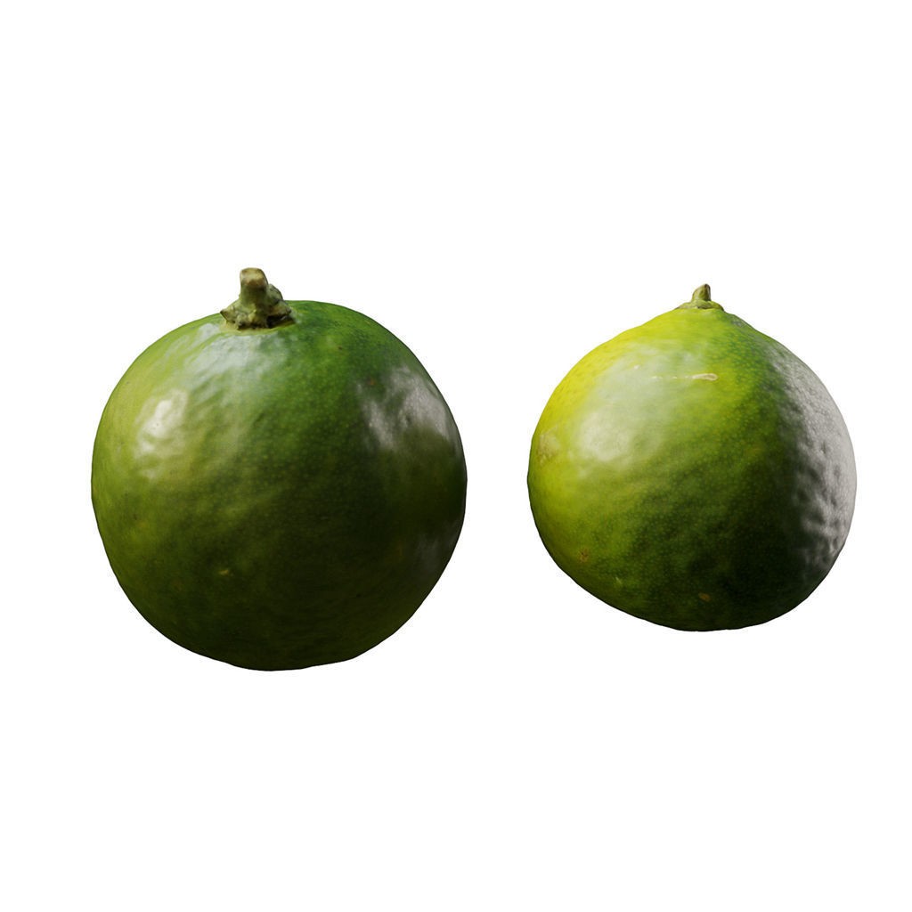 Fruit Food Collection 3D Model – High Poly Interior Assets, FBX - View 74