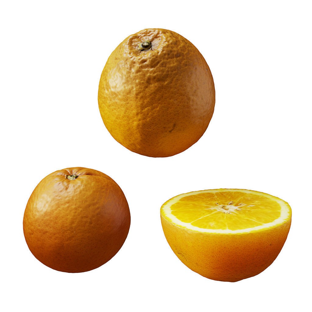 Fruit Food Collection 3D Model – High Poly Interior Assets, FBX - View 79