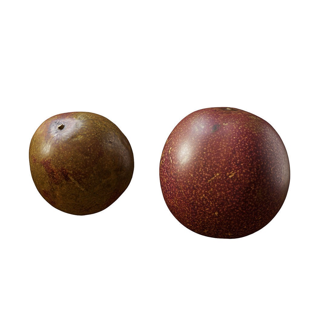 Fruit Food Collection 3D Model – High Poly Interior Assets, FBX - View 80