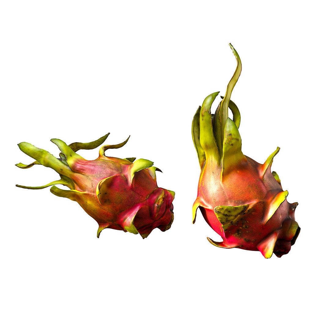 Fruit Food Collection 3D Model – High Poly Interior Assets, FBX - View 83