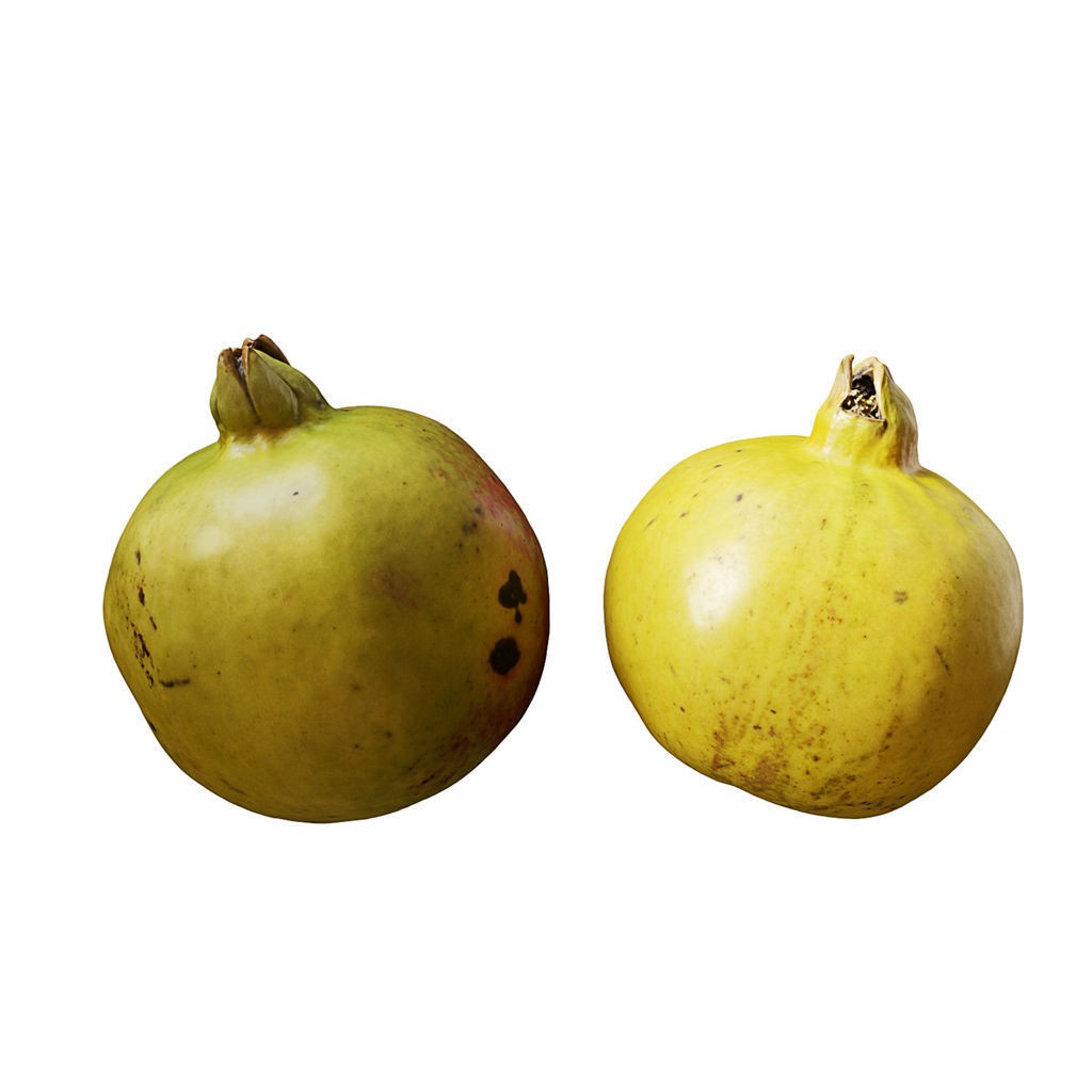 Fruit Food Collection 3D Model – High Poly Interior Assets, FBX - View 85