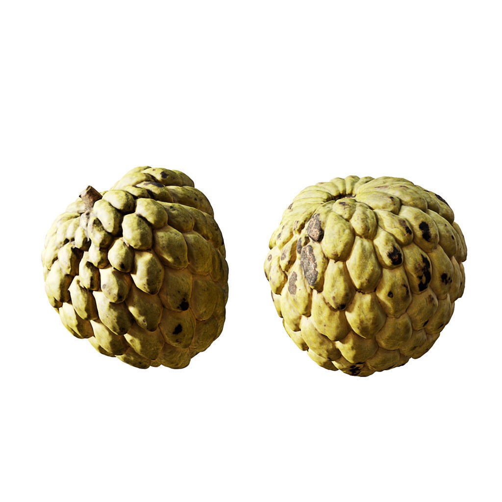 Fruit Food Collection 3D Model – High Poly Interior Assets, FBX - View 86