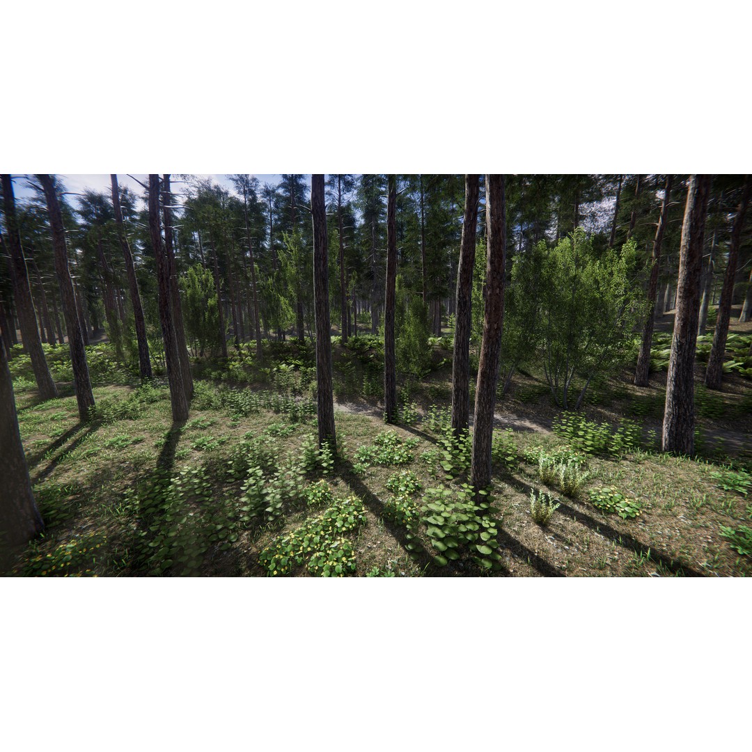 Lake Coniferous 3D Model – Low Poly Environment with Trees, Unity - View 10