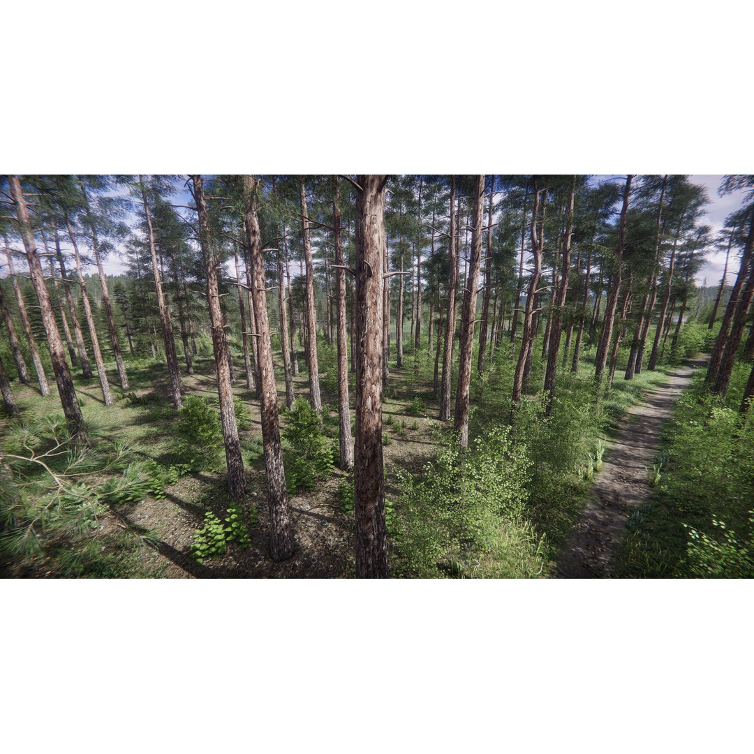 Lake Coniferous 3D Model – Low Poly Environment with Trees, Unity - View 11