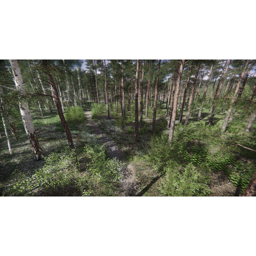 Lake Coniferous 3D Model – Low Poly Environment with Trees, Unity - View 12