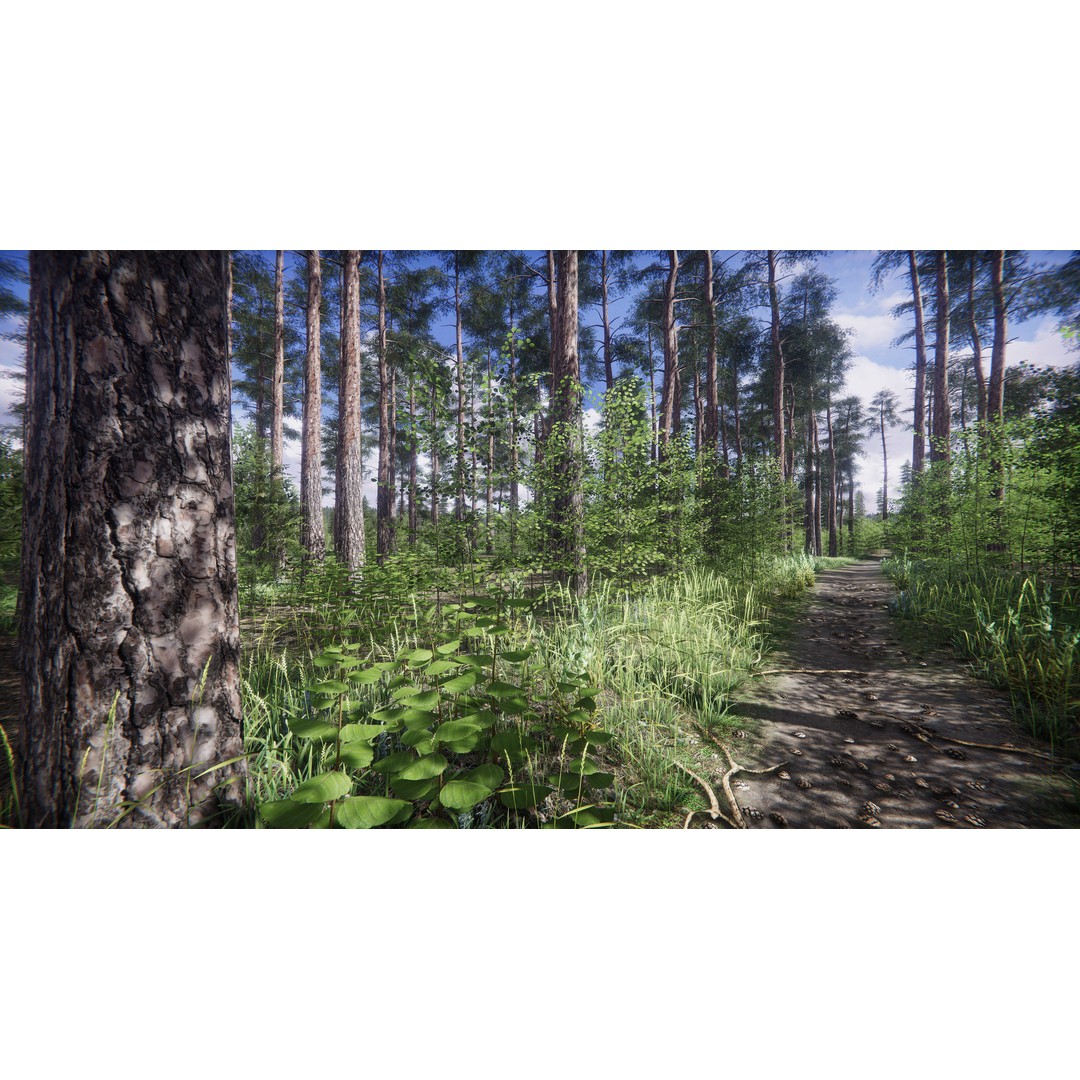 Lake Coniferous 3D Model – Low Poly Environment with Trees, Unity - View 13