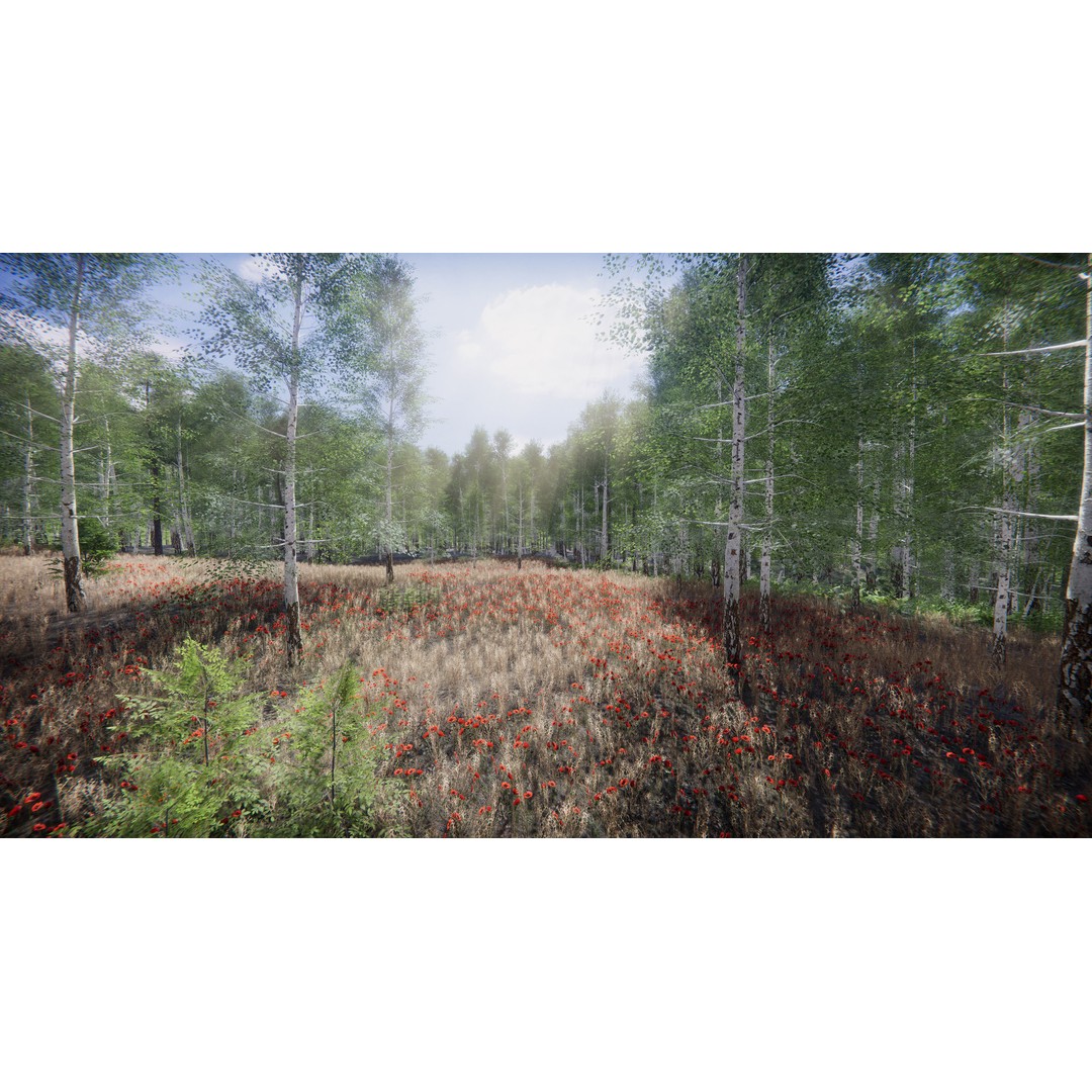 Lake Coniferous 3D Model – Low Poly Environment with Trees, Unity - View 14