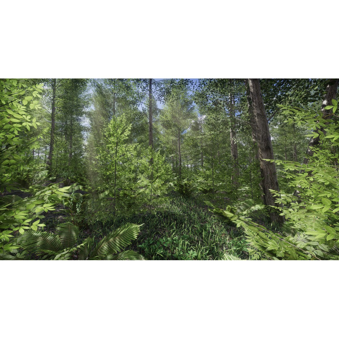 Lake Coniferous 3D Model – Low Poly Environment with Trees, Unity - View 15
