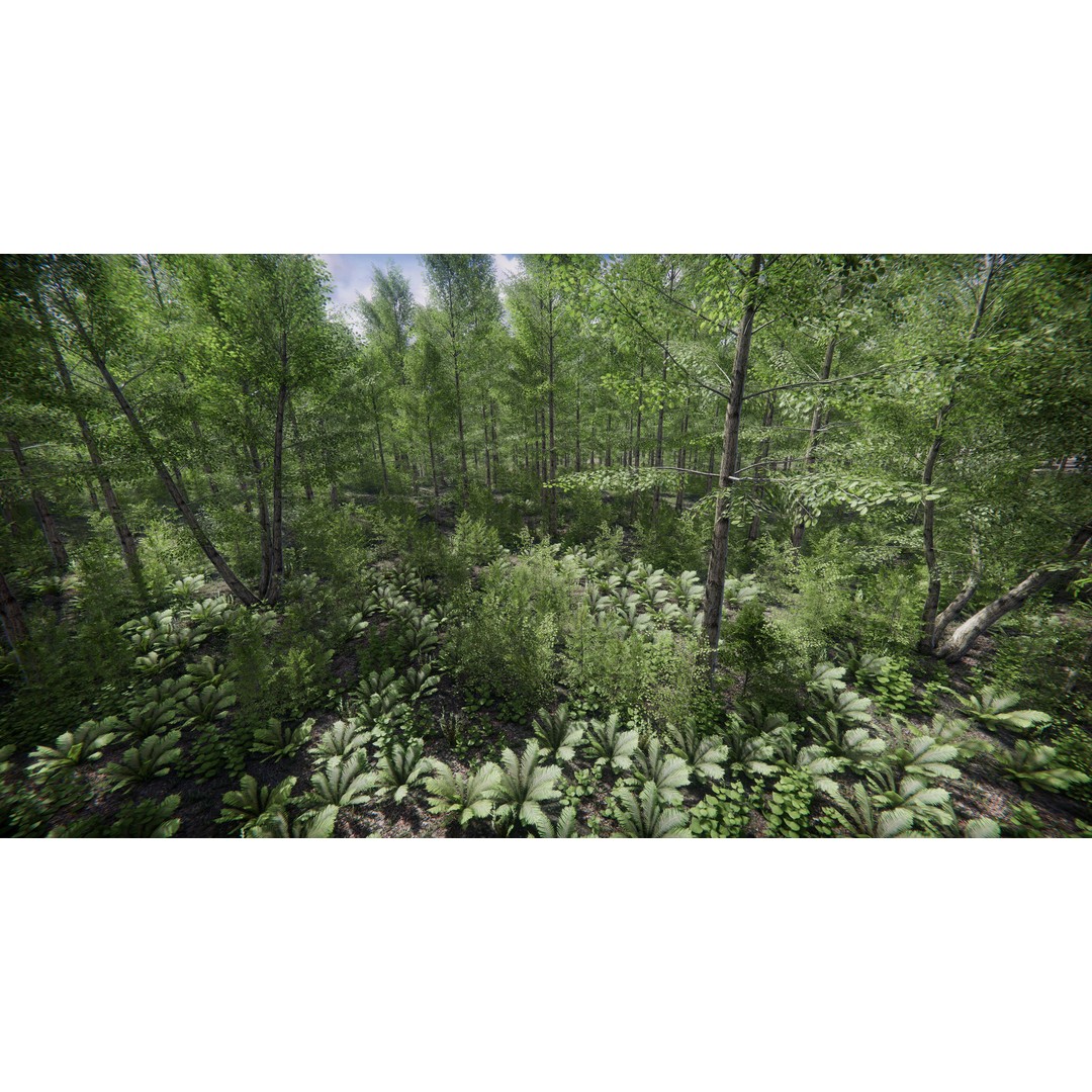 Lake Coniferous 3D Model – Low Poly Environment with Trees, Unity - View 16