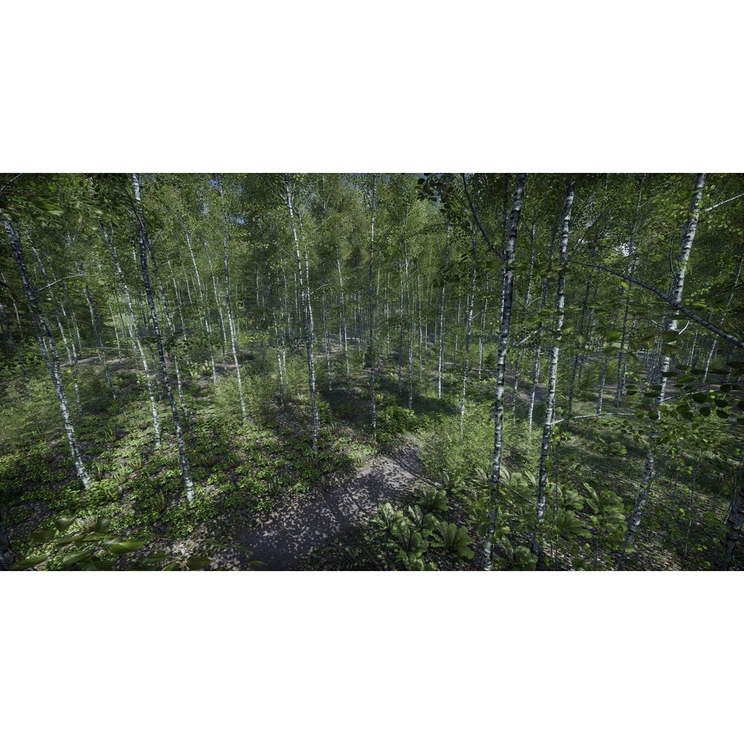 Lake Coniferous 3D Model – Low Poly Environment with Trees, Unity - View 17