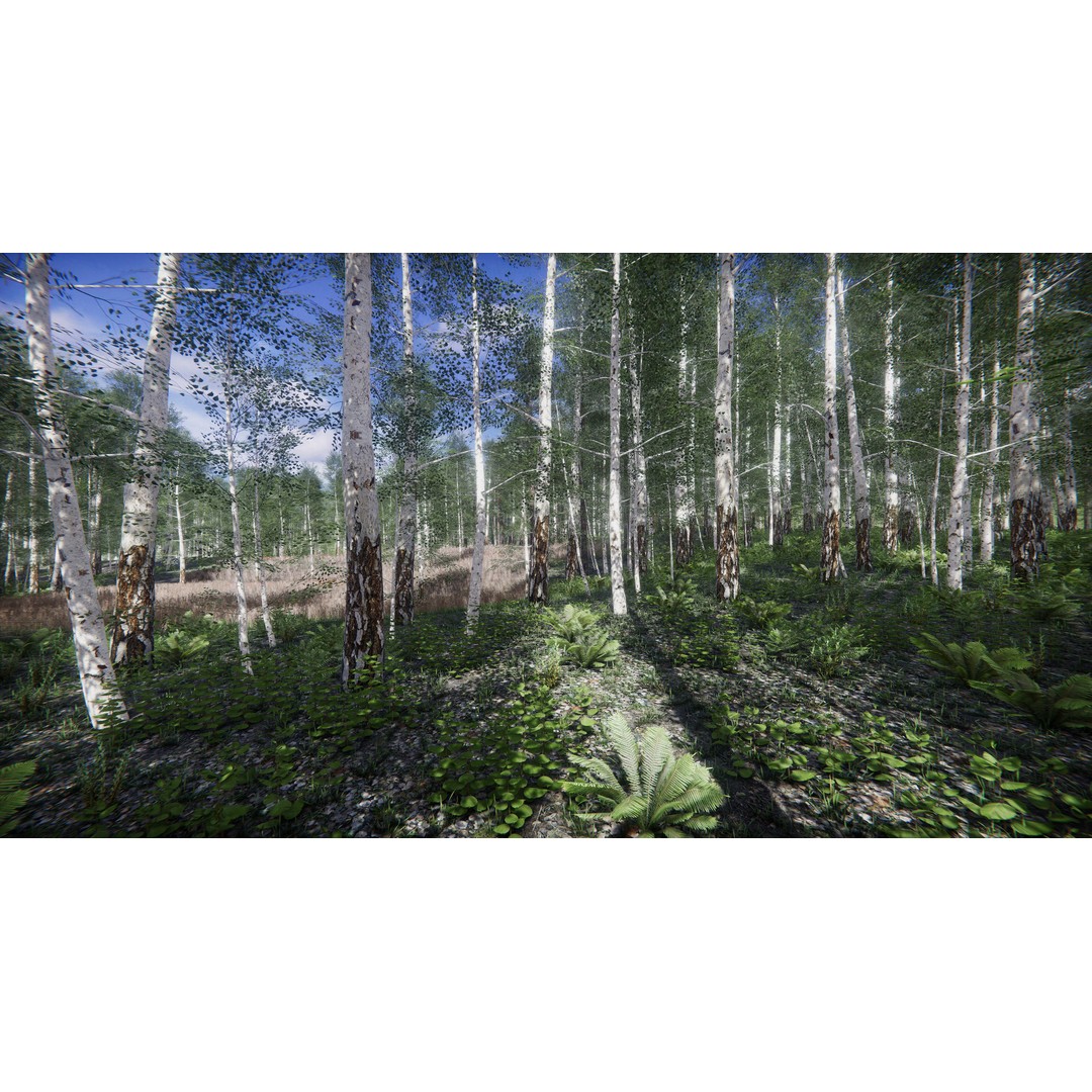 Lake Coniferous 3D Model – Low Poly Environment with Trees, Unity - View 18