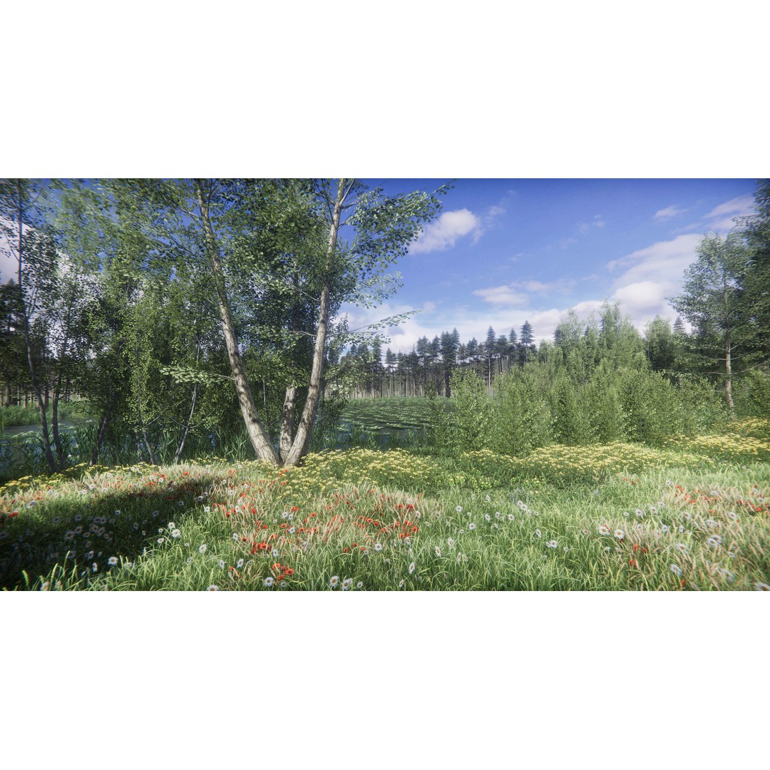 Lake Coniferous 3D Model – Low Poly Environment with Trees, Unity - View 20