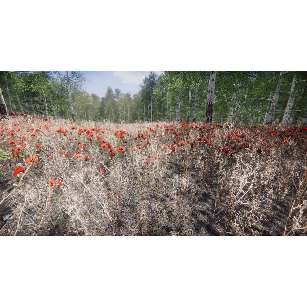 Lake Coniferous 3D Model – Low Poly Environment with Trees, Unity - View 22