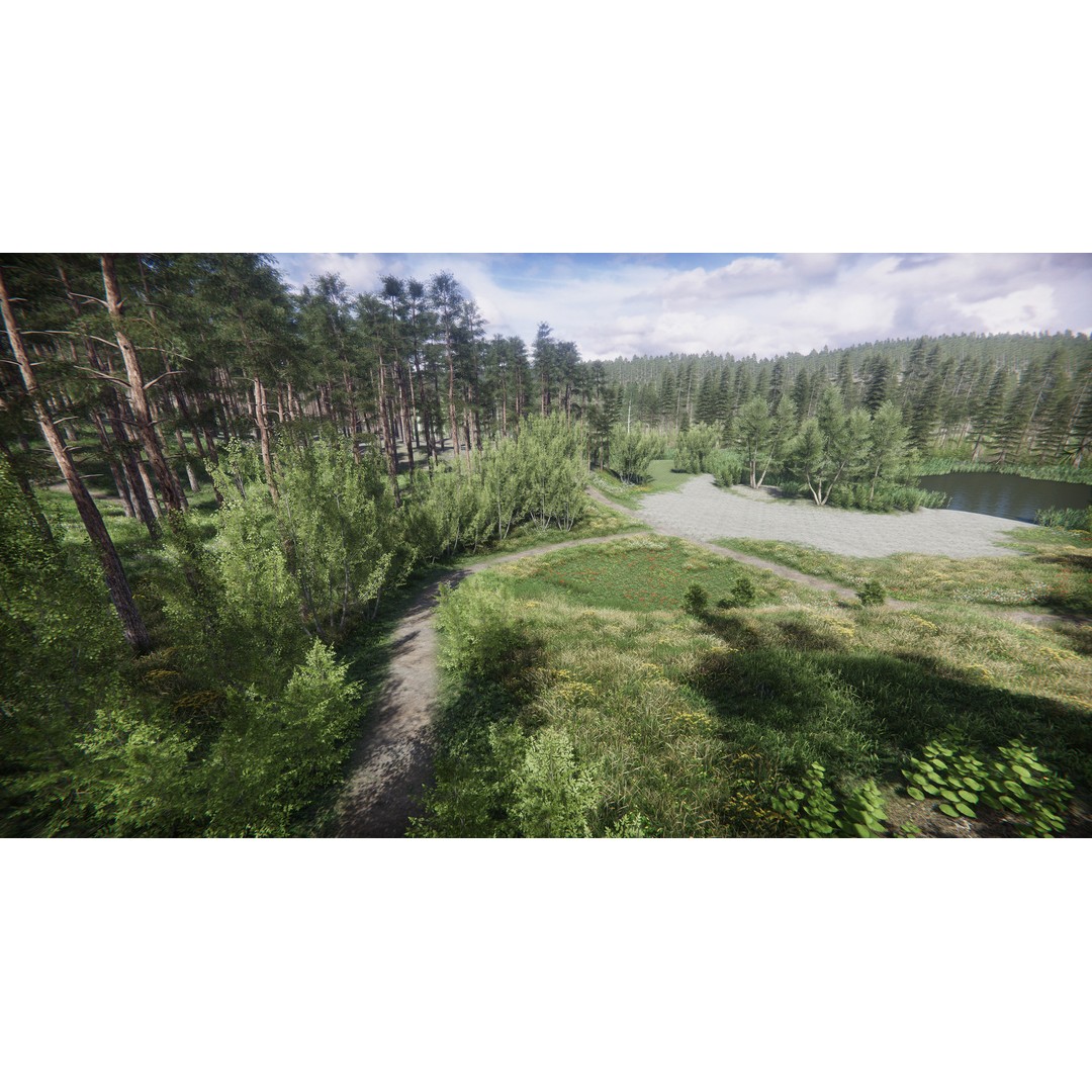 Lake Coniferous 3D Model – Low Poly Environment with Trees, Unity - View 24