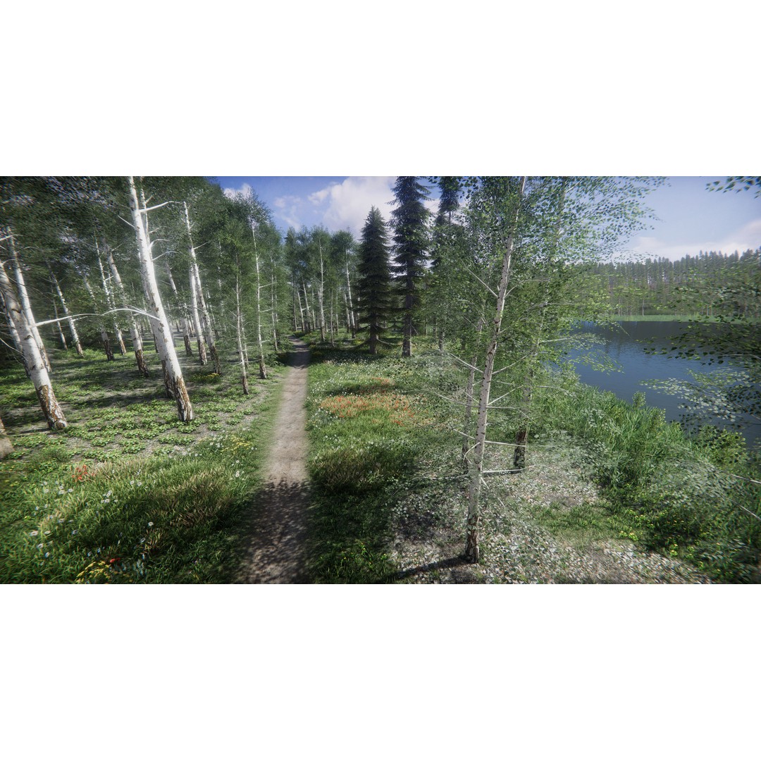 Lake Coniferous 3D Model – Low Poly Environment with Trees, Unity - View 25
