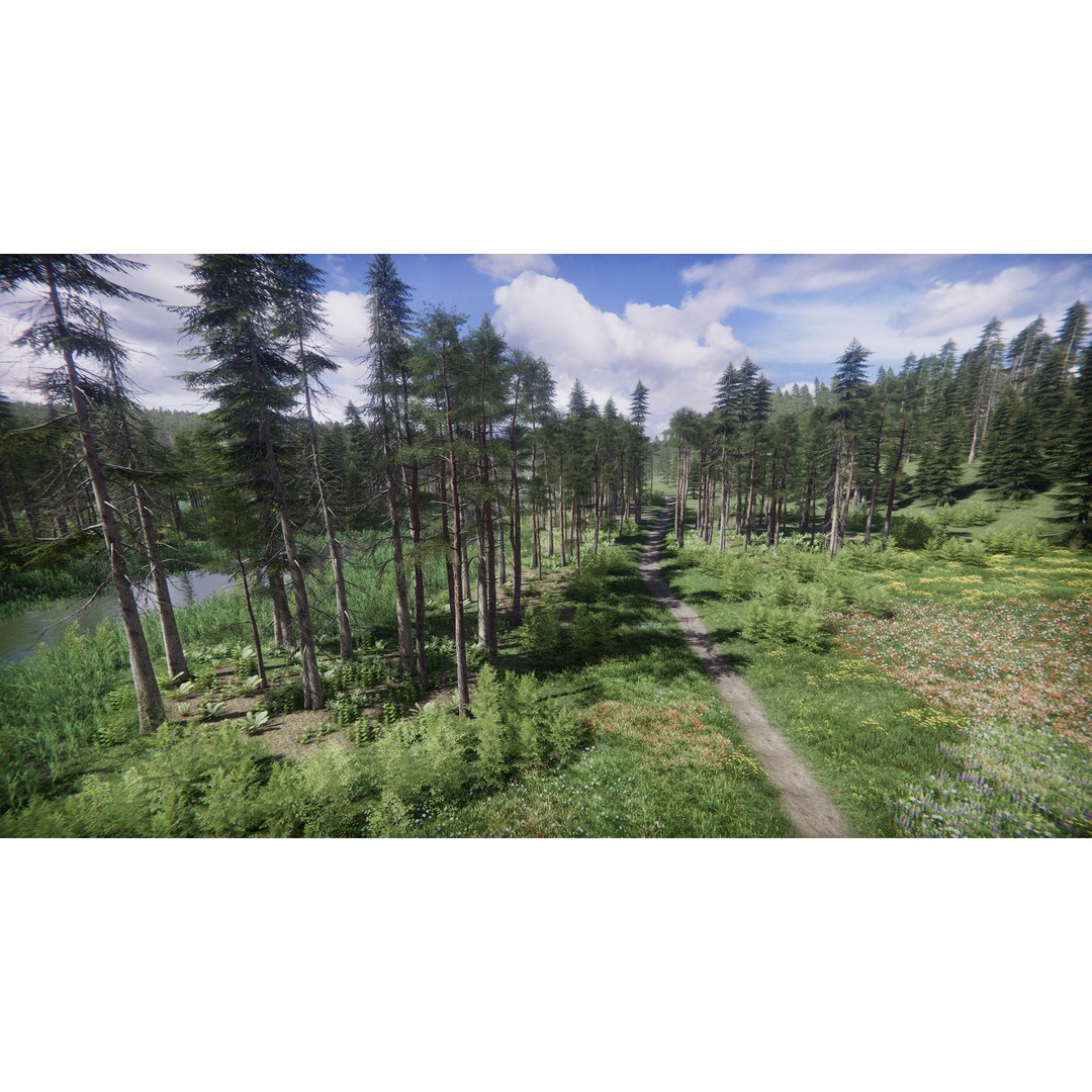 Lake Coniferous 3D Model – Low Poly Environment with Trees, Unity - View 28