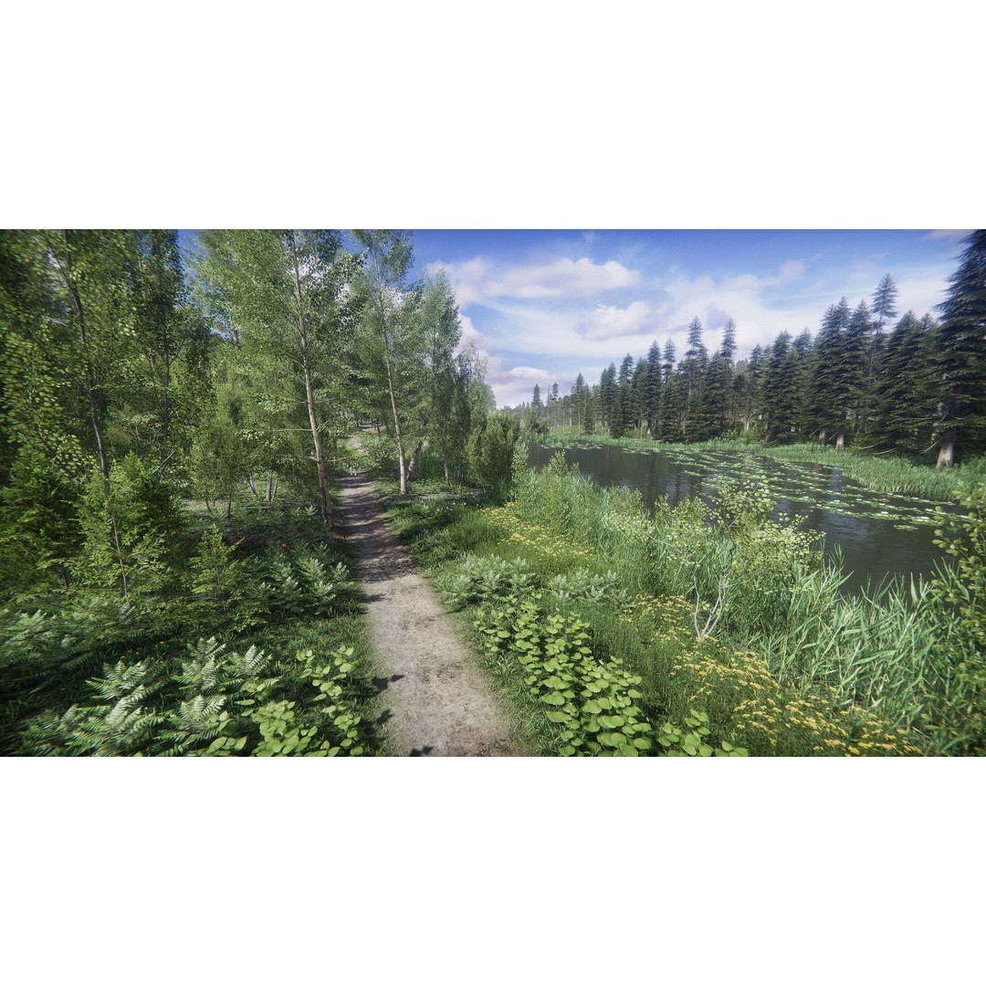 Lake Coniferous 3D Model – Low Poly Environment with Trees, Unity - View 3