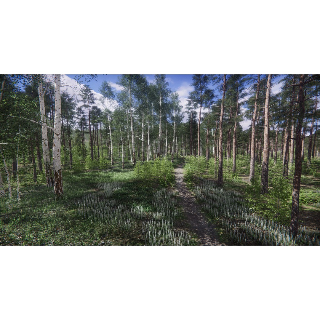 Lake Coniferous 3D Model – Low Poly Environment with Trees, Unity - View 30