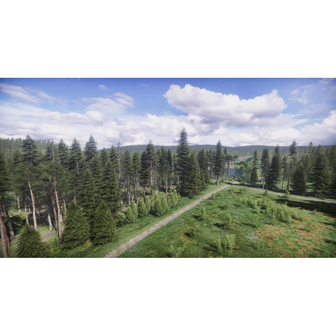Lake Coniferous 3D Model – Low Poly Environment with Trees, Unity - View 31