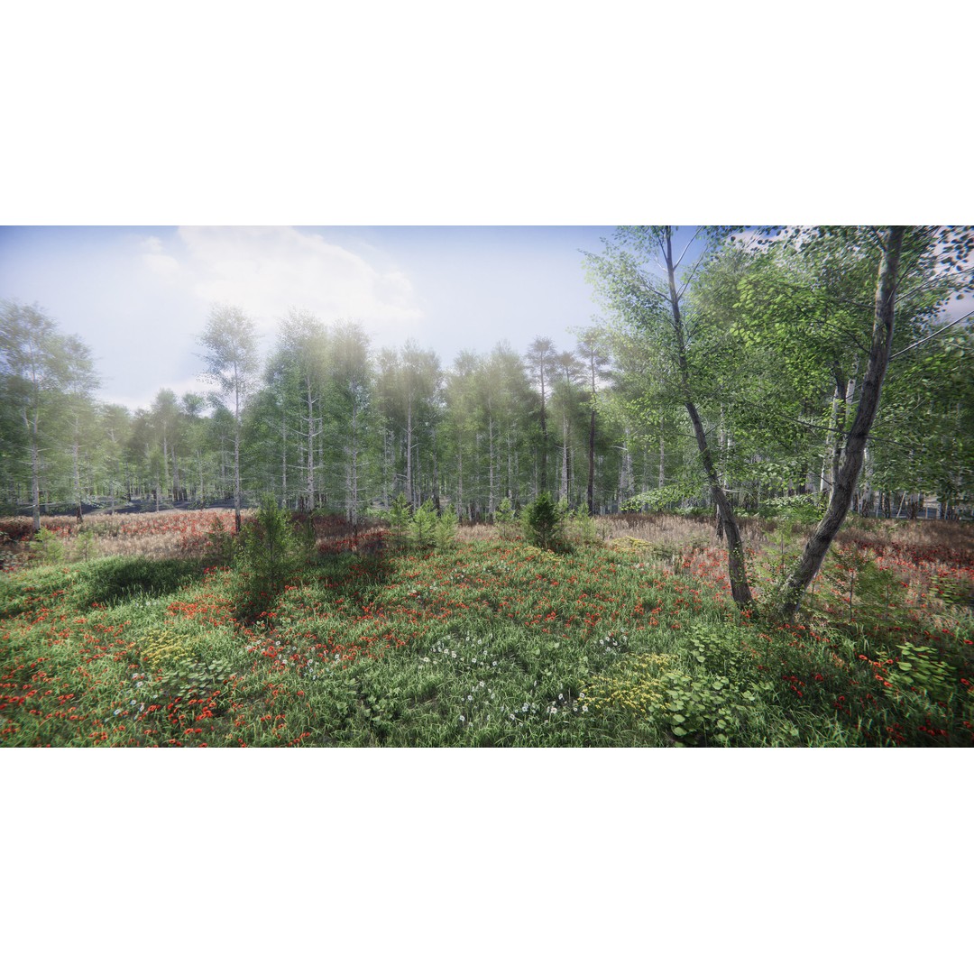 Lake Coniferous 3D Model – Low Poly Environment with Trees, Unity - View 32