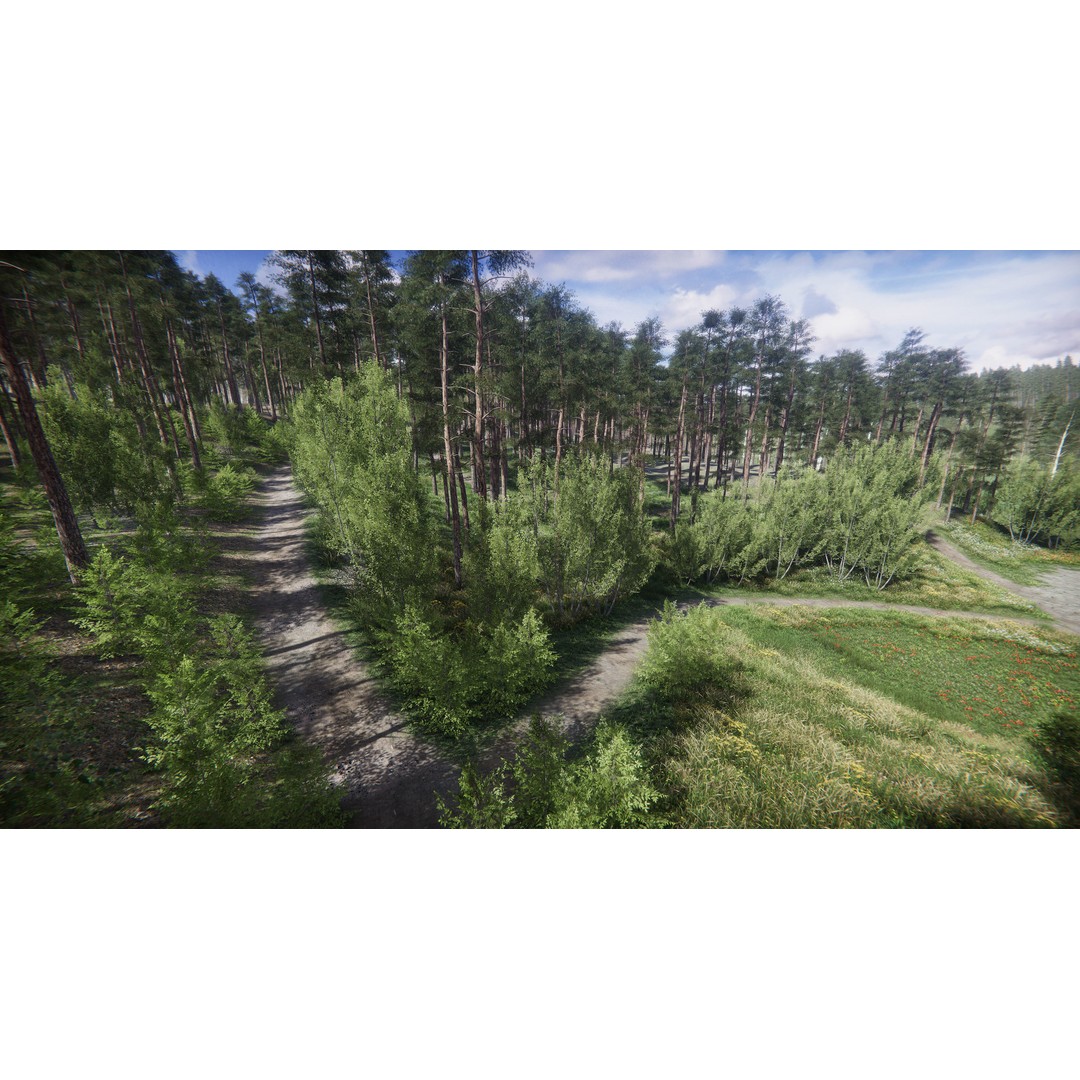 Lake Coniferous 3D Model – Low Poly Environment with Trees, Unity - View 33